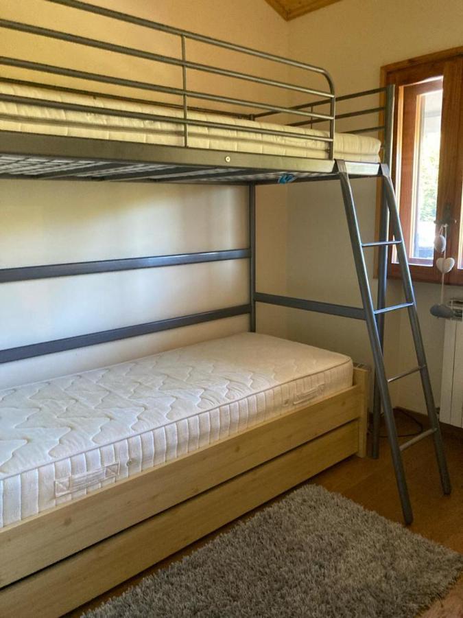 Edelweiss Apt29 *